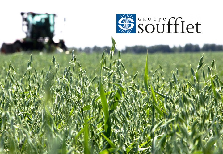 EBRD could issue EUR35 mln loan to France’s Soufflet for work in Ukraine